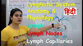 Lymphatic System in Hindi  Lymph  Lymph Nodes  Lymph Vessels  Anatomy amp Physiology [upl. by Ynohtnaed598]