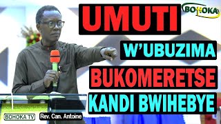 Rev Dr Antoine RUTAYISIRE Menya UMUTI wubuzima BUKOMERETSE KANDI BWIHEBYE ibibazo nibisubizo [upl. by Zenas]