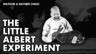 The Little Albert Experiment  Watson amp Rayner 1920 [upl. by Lebasi]