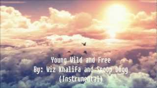 Young Wild and Free instrumental [upl. by Channa664]