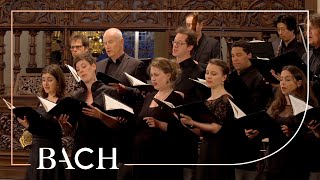 Bach  Motet Fürchte dich nicht ich bin bei dir BWV 228  MacLeod  Netherlands Bach Society [upl. by Constantino]