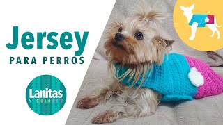 Tutorial Jersey Para Perros o Gatos Crochet  Ganchillo [upl. by Farnham42]