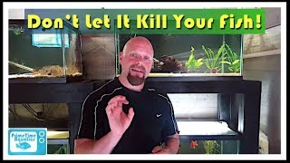 How to Lower Nitrites in an Aquarium [upl. by Erdnoed]