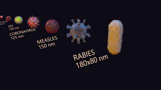 Virus Size Comparison  3D [upl. by Rawden176]