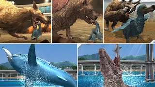 ALL CENOZOIC amp ALL AQUATIC FEEDING OR HUNTING SCENE ANIMATION  Jurassic World The Game [upl. by Prestige607]