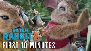 PETER RABBIT 2 – First 10 Minutes [upl. by Ainoek]