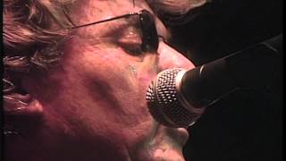 STEVE MILLER Serenade 2007 LiVe [upl. by Ybbil381]