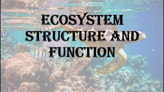 Ecosystem  structure and function  HPU BSc 1st year [upl. by Peoples]