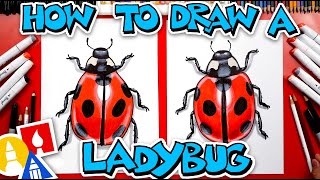 How To Draw A Realistic Ladybug [upl. by Illona]