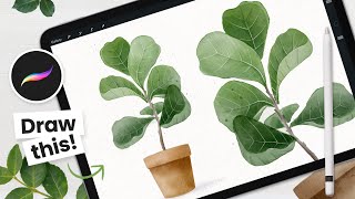 How To Draw Watercolor Fiddle Leaf Fig Tree • Procreate Tutorial [upl. by Birch]