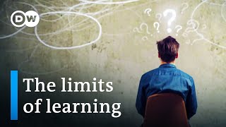 The limits of learning – kids in crisis  DW Documentary [upl. by Ahsimik]