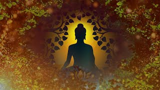 Positive Energy Vibration Good Vibes Healing Music Meditation Music Chakra Healing [upl. by Etteb]