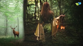 Enchanted Celtic Music  432Hz Nature Music  Magical Forest Sounds [upl. by Qifar937]