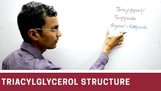 Drawing the Structure for a Triacylglycerol [upl. by Granthem979]