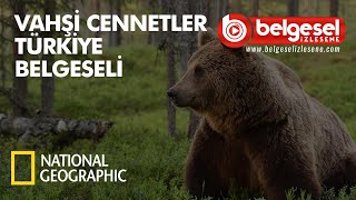 Vahşi Cennetler Türkiye Belgeseli  Türkçe Dublaj [upl. by Adnamahs920]