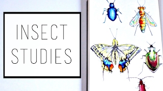 Drawing Insects · 30 Ways to Fill a Sketchbook · SemiSkimmedMin [upl. by Marcel412]