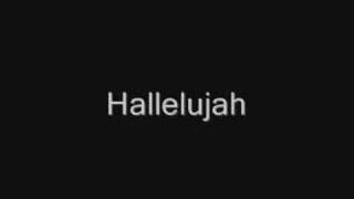 John Cale  Hallelujah Lyrics best version [upl. by Darra]