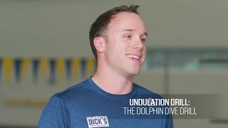 Breaking Down the Butterfly Stroke Technique [upl. by Acassej]