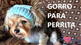 Gorro de perrito y para gatitos dogs and cats hat [upl. by Noeruat144]