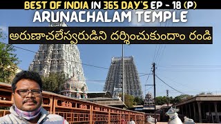 Arunachalam temple full tour in telugu  Tiruvannamalai  Arunachalam temple information  Tamilnadu [upl. by Llecrad]