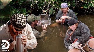 Pruebas de supervivencia en los climas más extremos  Desafío x 2  Discovery En Español [upl. by Gall]