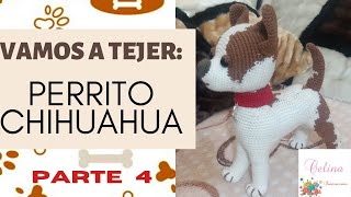 ✌✌Perrito Chihuahua a crochet🐾 Tutorial paso a pasoPARTE 4 cuerpo😀 Amigurumi [upl. by Leonardo]