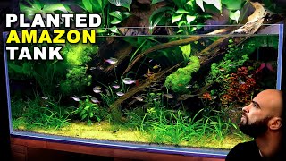 Aquascape Tutorial EPIC 4ft Amazon Aquarium  Planted Tank how to guide  NO co2  diy lighting [upl. by Wildee]