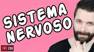 SISTEMA NERVOSO  FISIOLOGIA  Aula  Biologia com Samuel Cunha [upl. by Bengt517]