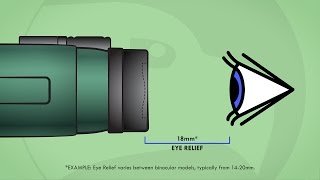 Understanding Binoculars Eye Relief [upl. by Whiney]