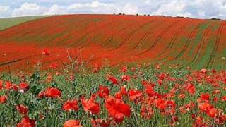 In Flanders Fields by John McCrae May 1915 [upl. by Siriso]