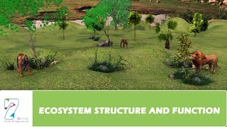 ECOSYSTEM STRUCTURE AND FUNCTION  PART 01 [upl. by Clemmy]