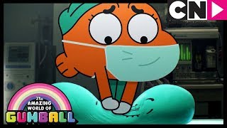 Gumball  Alans Flatulum Transplant  Cartoon Network [upl. by Amrac]