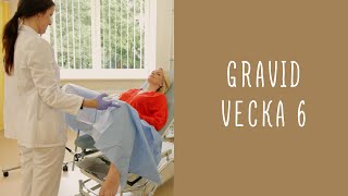 Gravid vecka 6 [upl. by Elon]