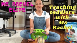 Discover the 10 irresistible reasons behind Ms Rachels YouTube show [upl. by Danika]