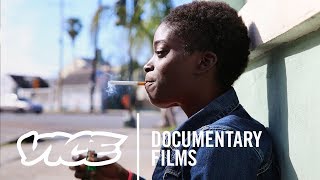 SHELTER Full Length Documentary [upl. by Eimmot]