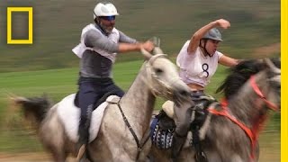 Grueling 80Mile Horse Race Demands More Than Speed  National Geographic [upl. by Buchanan136]