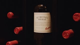 Discover Penfolds St Henri Shiraz [upl. by Shane]