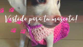 Vestido para perrita a crochet tutorial paso a paso [upl. by Lybis]