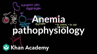 Microcytic anemia  Hematologic System Diseases  NCLEXRN  Khan Academy [upl. by Avis]