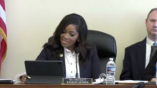 Ranking Member Jasmine Crockett delivers opening remarks [upl. by Wheeler356]