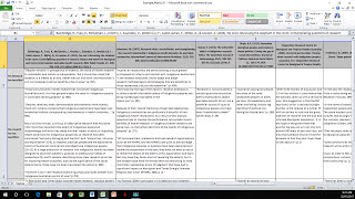 How to Create a Literature Matrix Excel [upl. by Enyaz414]