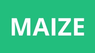 How To Pronounce Maize  Pronunciation Academy [upl. by Leahcimal]