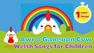 Awr o Ganeuon Cyw  Welsh Songs for Children  S4C [upl. by Anawal]