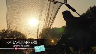 Kanaalvissen op karper tips en tricks [upl. by Romie]