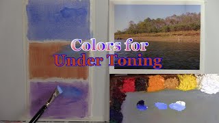 Quick Tip 331  Colors for Under Toning [upl. by Aihsekram521]