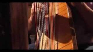 Carolans Dream  played on celtic harp [upl. by Tneciv]