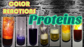 Color reactions of Proteins  Biochemistry series [upl. by Ashley]