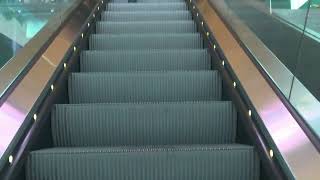 Poland Gdansk Airport 1X escalator [upl. by Talbert719]