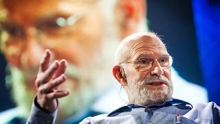 What hallucination reveals about our minds  Oliver Sacks [upl. by Block]