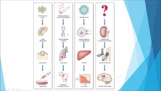 Scleroderma  an Osmosis Preview [upl. by Mihalco]